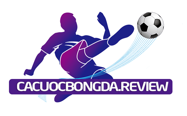Cá Cược Bóng Đá Review