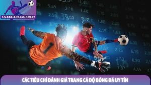 Các tiêu chí đánh giá trang cá độ bóng đá uy tín