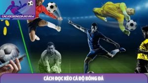 Cách đọc kèo cá độ bóng đá từ A-Z - Hướng dẫn chi tiết nhất