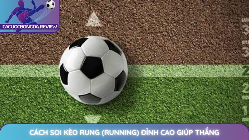 Cách soi kèo rung (Running) đỉnh cao để làm chủ cuộc chơi 1 Cách soi kèo rung (Running) đỉnh cao giúp thắng