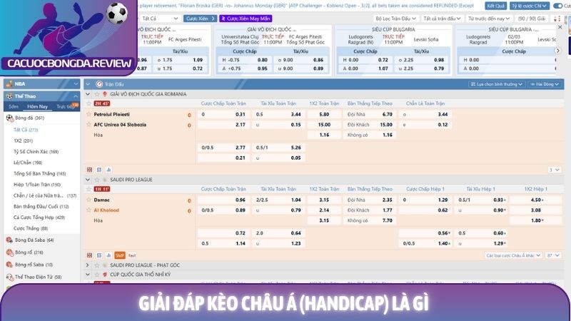 Kèo châu Á (Handicap) là gì và những ưu điểm vượt trội 1 Giải đáp Kèo châu Á (Handicap) là gì